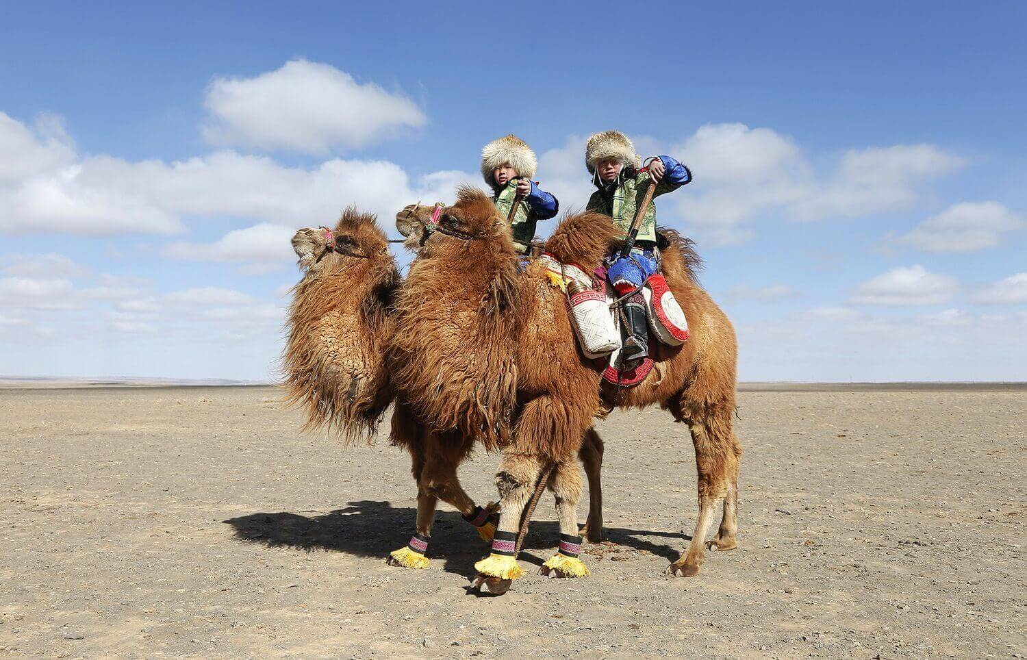 Дети катаются на верблюдах, фестиваль верблюдов, в городе Даланзадгад.