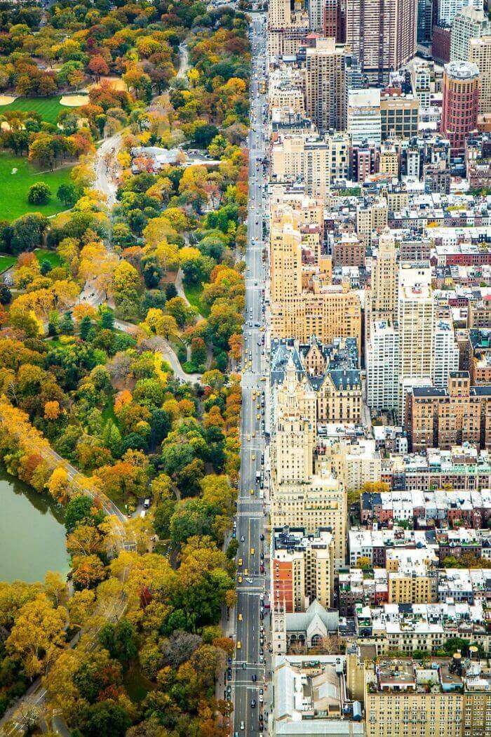 Разделение двух миров в Нью-Йорке: городская архитектура и зелень Центрального парка