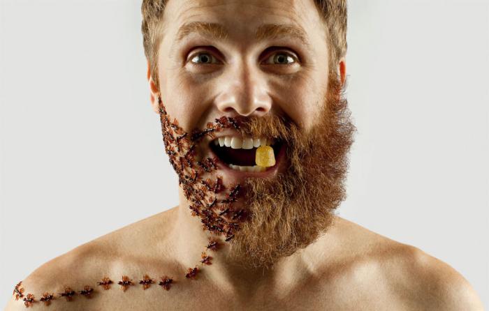 Груминг и борода: творческий подход к растительности на лице