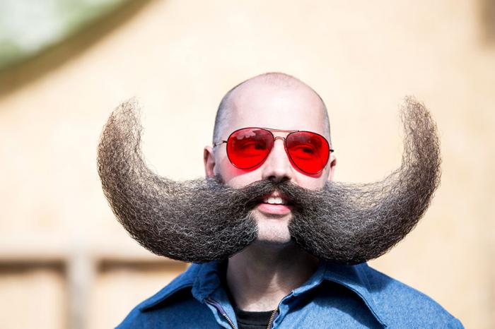 Чемпионат мира среди владельцев бород и усов 2015 года