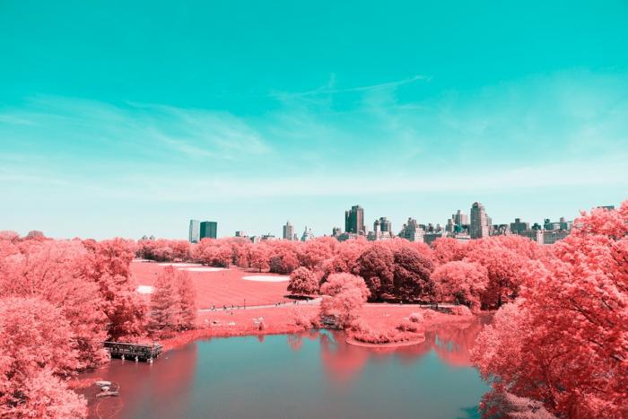 Паоло Петтигиани сфотографировал Центральный Парк Нью Йорка в инфракрасном свете