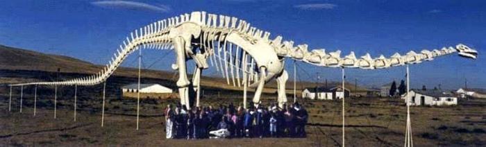 ТОП-3 самых огромных динозавров, обитавших на нашей планете