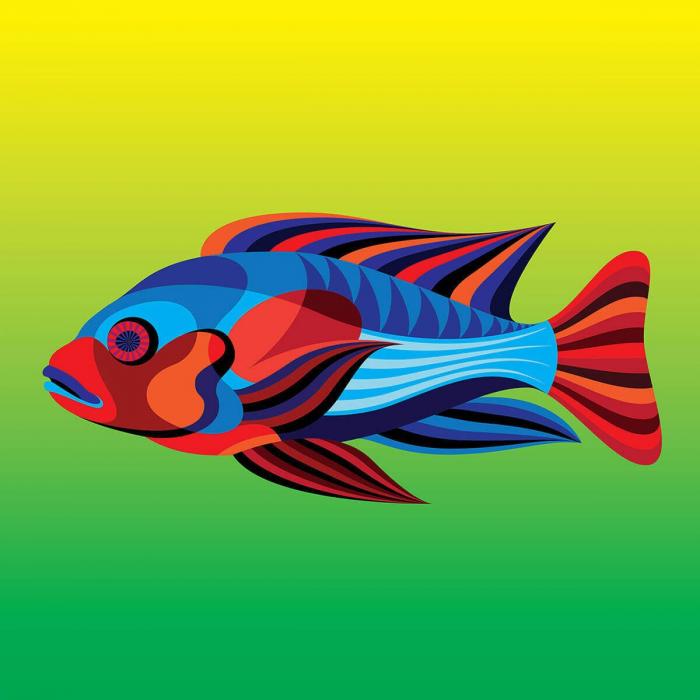Тропические рыбки – новый эко-проект Мэтта Мура