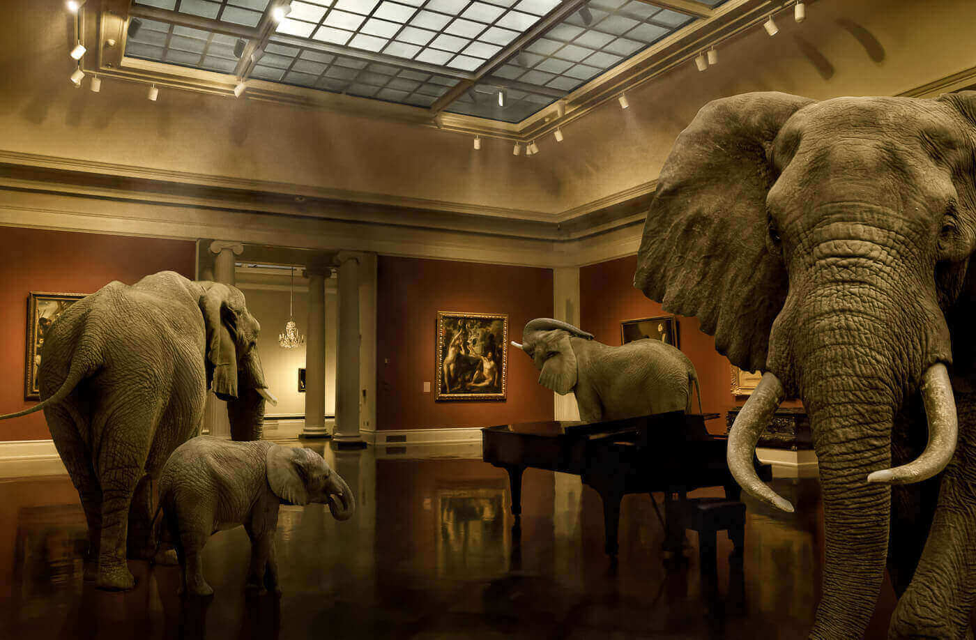 Животные в Художественном музее