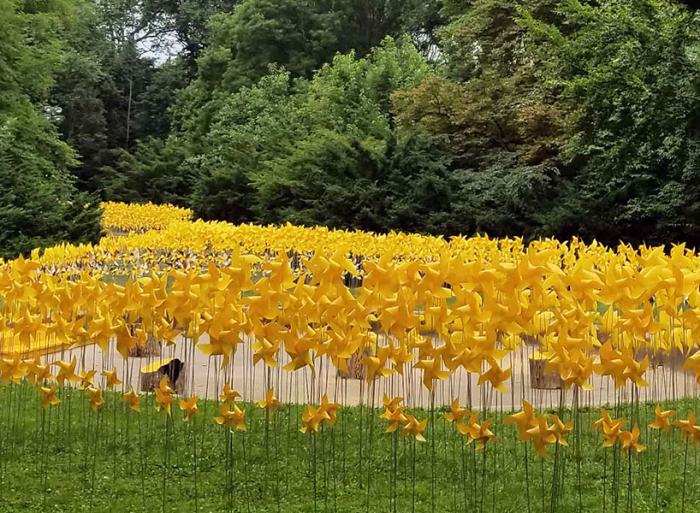 7 000 цветов-вертушек из каменной бумаги расцвели в парке бульвара Бруклина