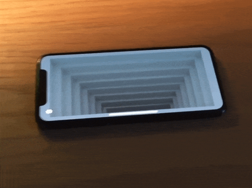 иллюзия в iPhone X, фото 1