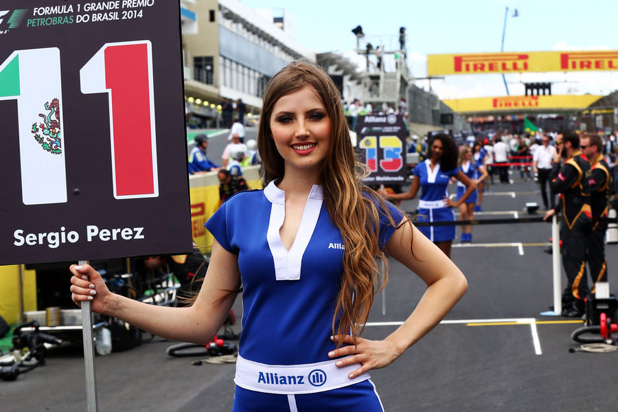 Девушки Формулы1. Гран-при Бразилии 2014_22