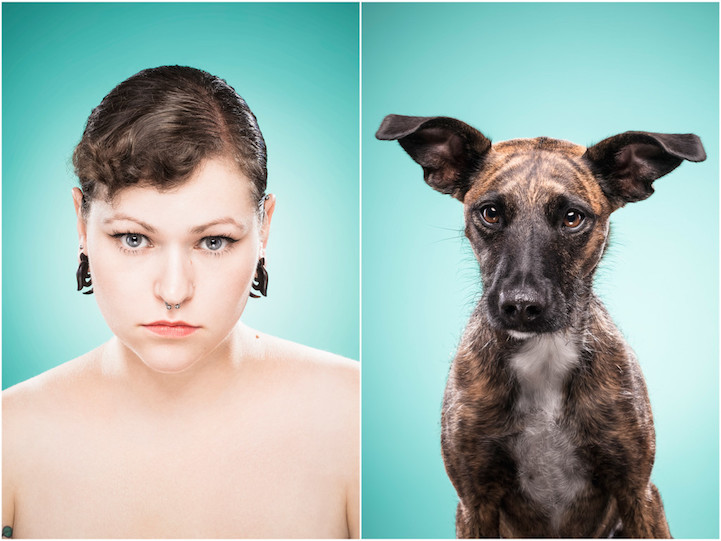 портреты собак и хозяев на которых они так похожи_11