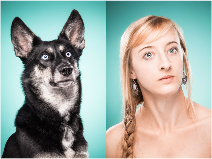 портреты собак и хозяев на которых они так похожи_14