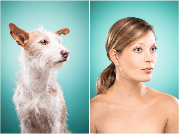 портреты собак и хозяев на которых они так похожи_16