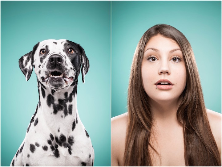 портреты собак и хозяев на которых они так похожи_3