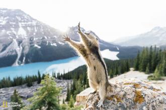 10 лучших фото конкурса 2015 National Geographic Photo Contest