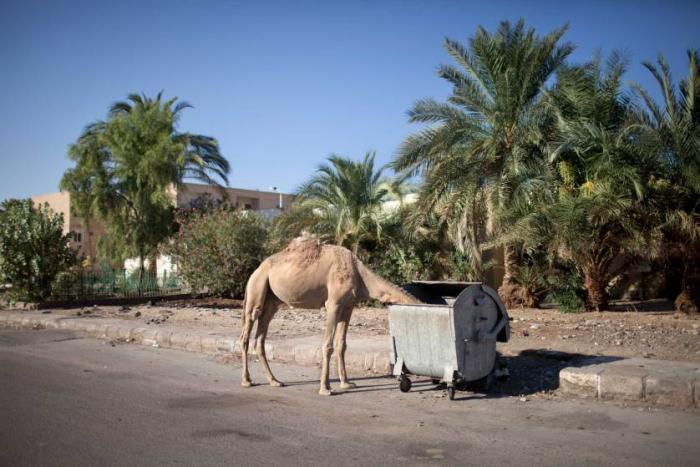Отдых в Египте без туристов: пустой Синайский полуостров