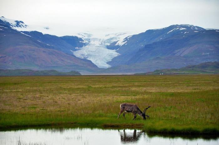 Путешествуя по Исландии: фото блогера Хариша Гранда