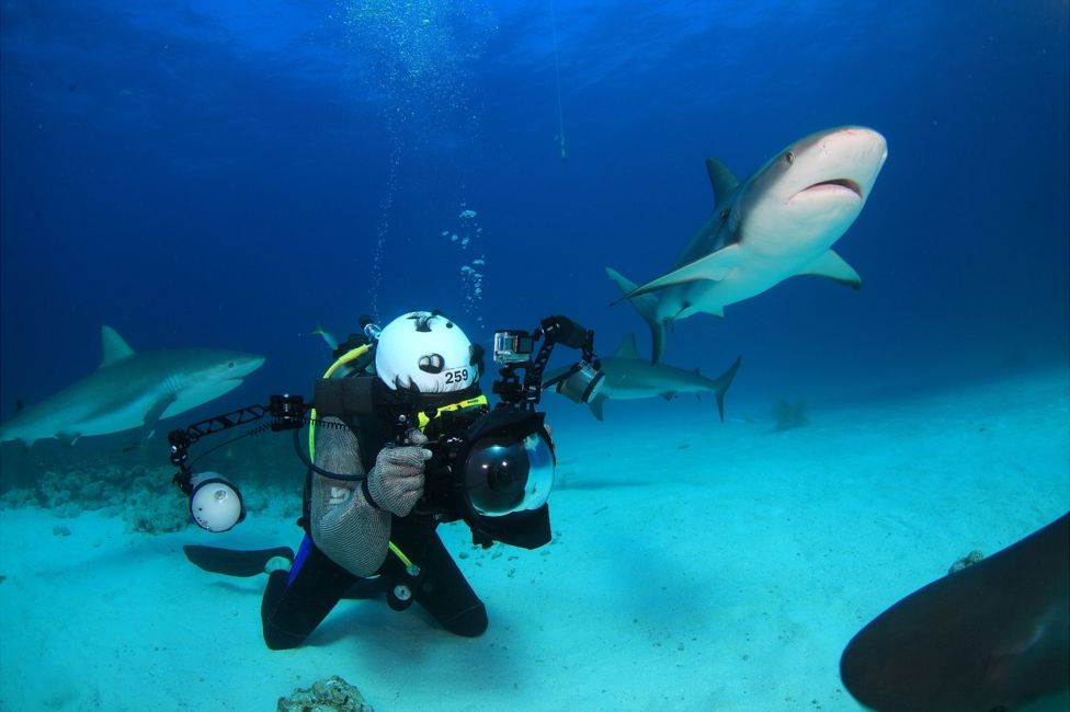 подводный фотоаппарат, фотоаппарат для подводной съемки, съемка под водой-4