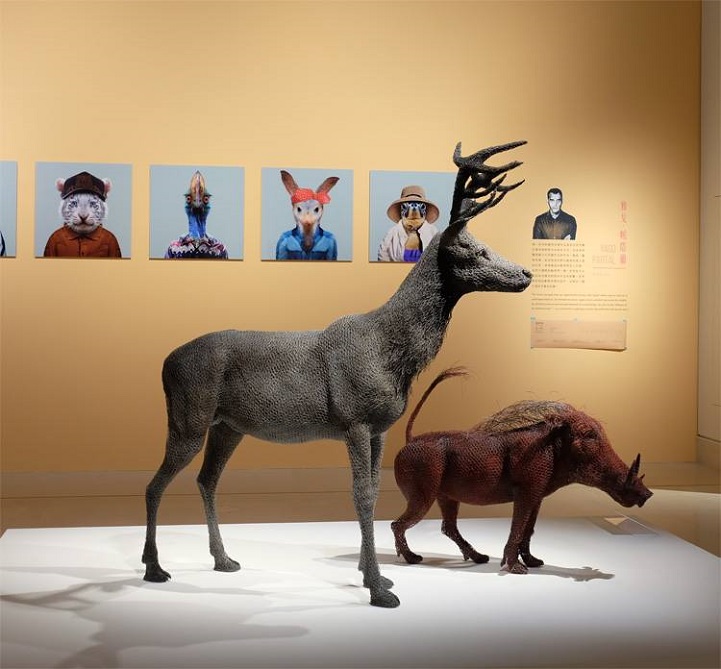 скульптуры животных, школа современного искусства, выставка современного искусства-11