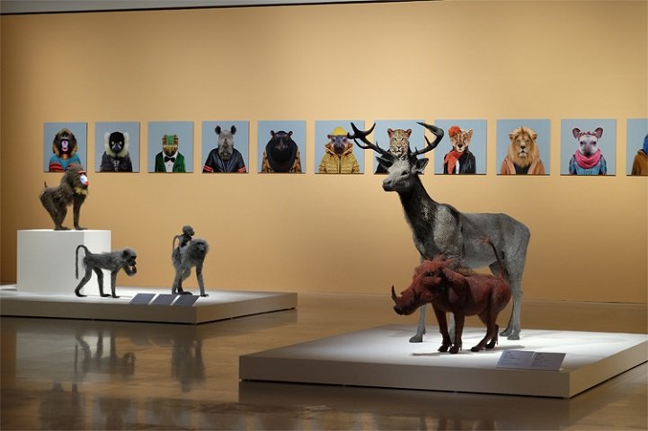 скульптуры животных, школа современного искусства, выставка современного искусства-14