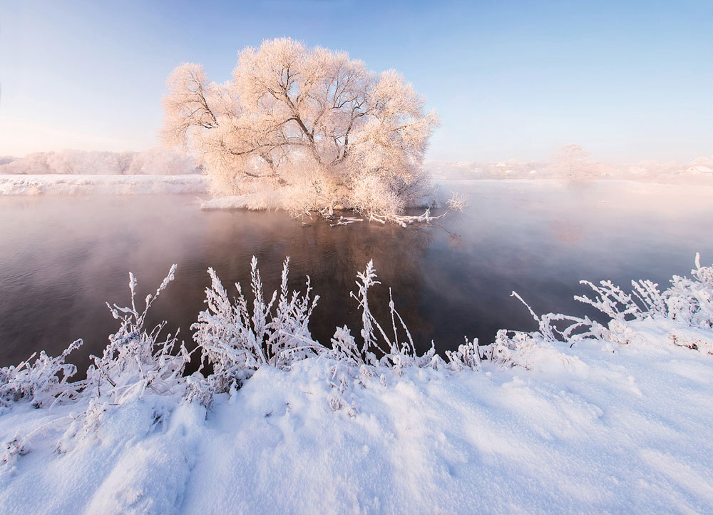 зимняя природа фото, иней фото, природа Беларуси-1