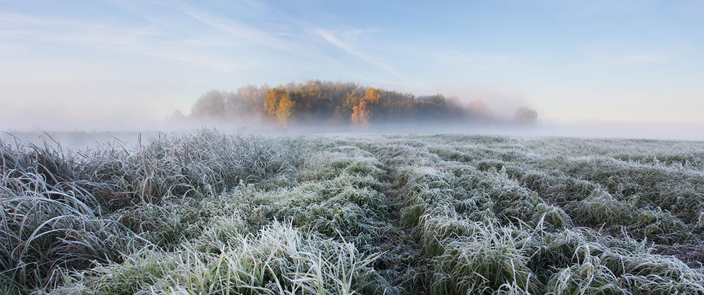 зимняя природа фото, иней фото, природа Беларуси-4