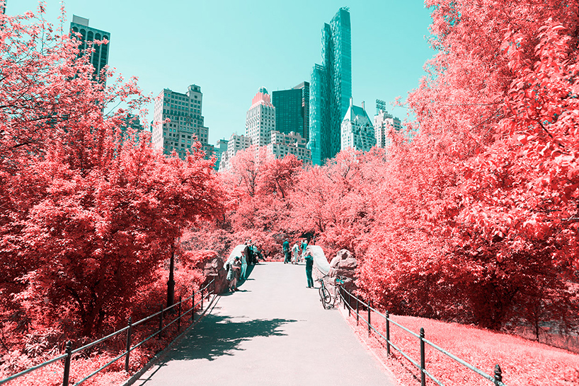 Центральный Парк Нью Йорка в инфракрасном свете