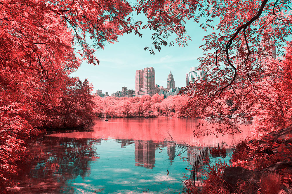 Центральный Парк Нью Йорка в инфракрасном свете