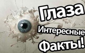 «Эти глаза напротив…»