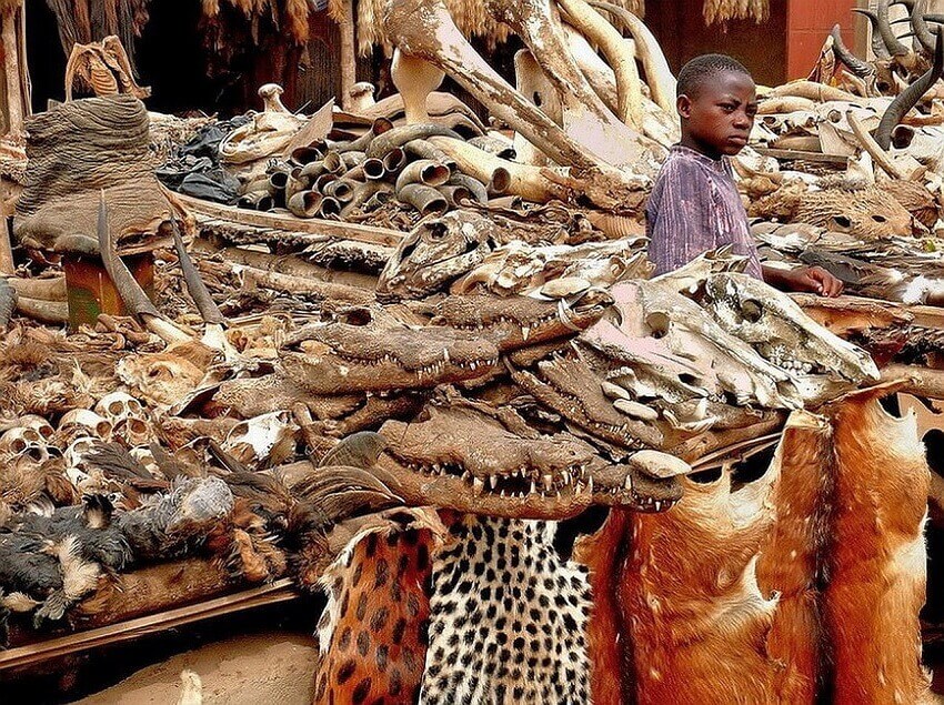 Магический рынок Акодессева. Того, Африка