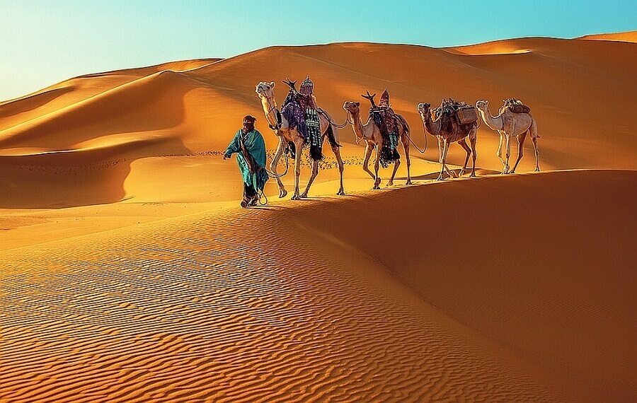 Караваны, пустыня Сахара