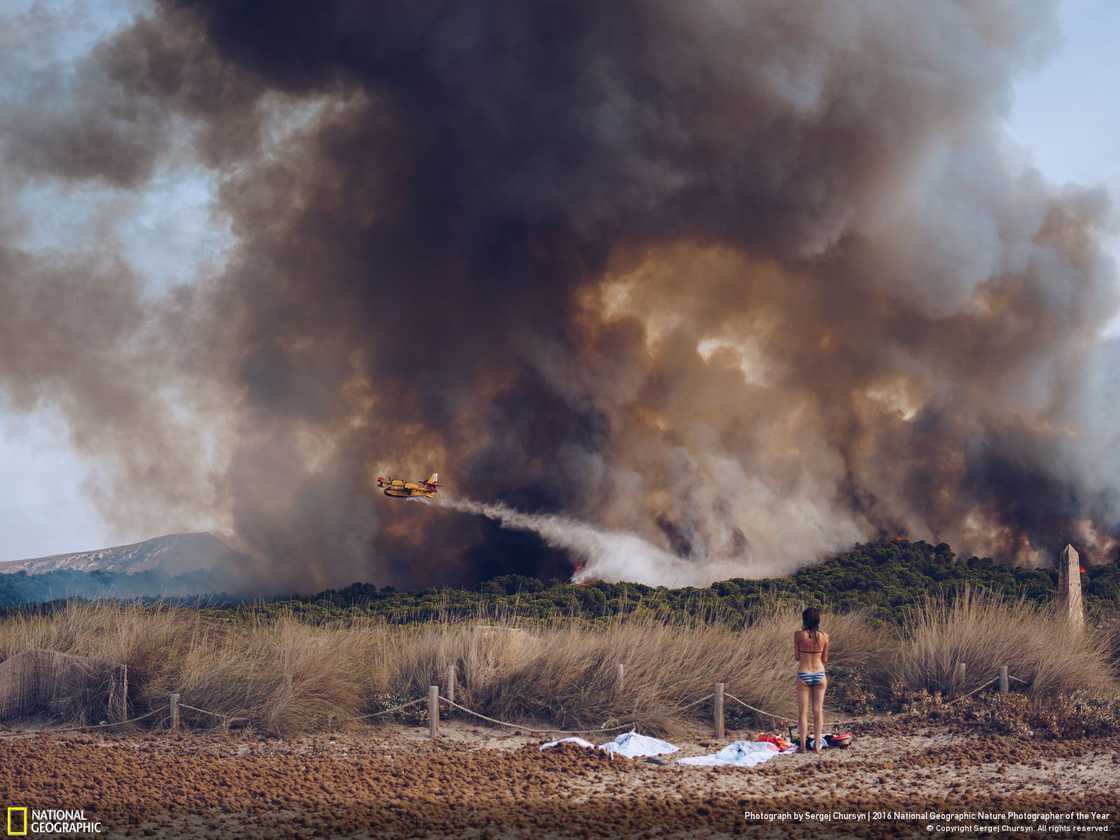 Тушение лесного пожара на пляже в Майорке, Испания