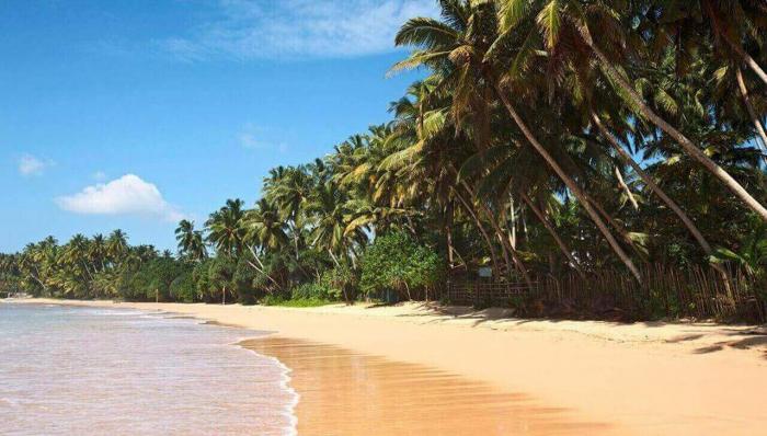 «Благодатная земля», или райский остров Шри-Ланка