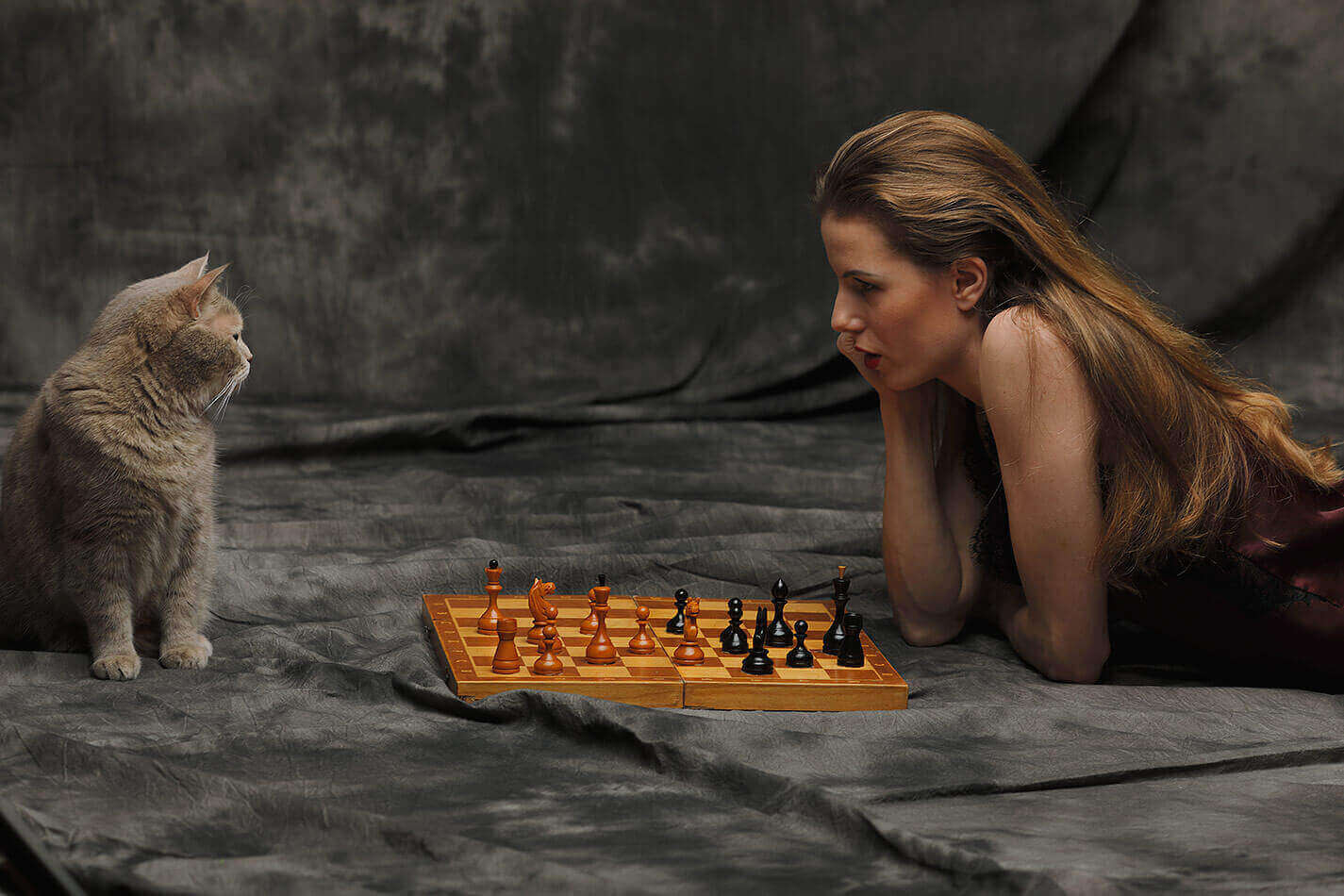 Кот-шахматист