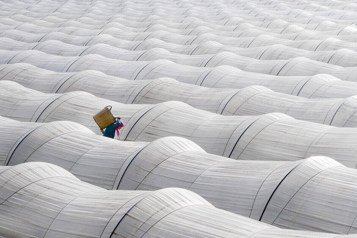 Сельскохозяйственная работница на фоне белых теплиц , Турция