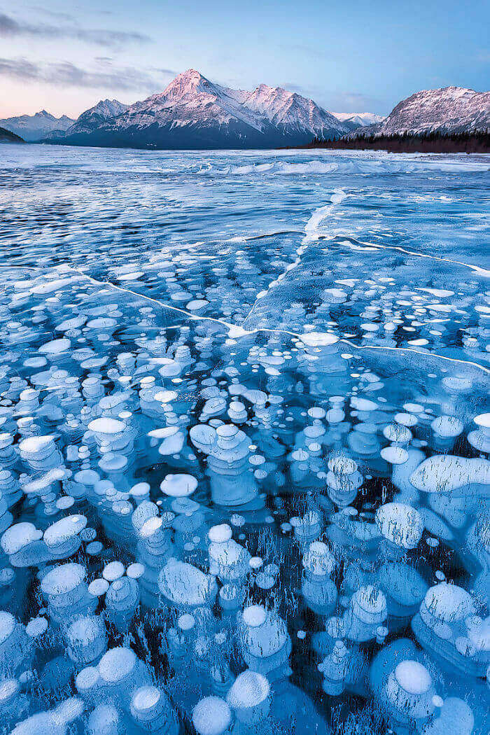 Пузырьки метана на озере Эйбрахам
