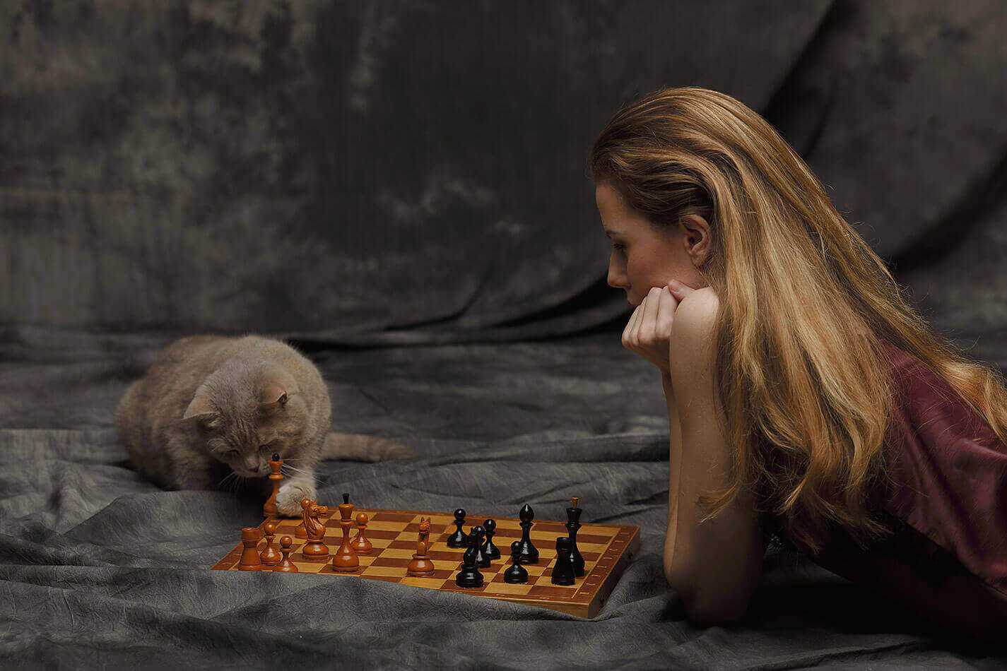 Кот-шахматист