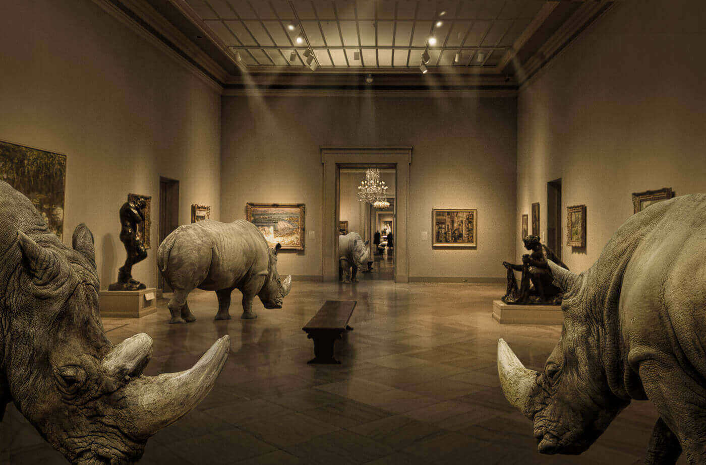 Животные в Художественном музее
