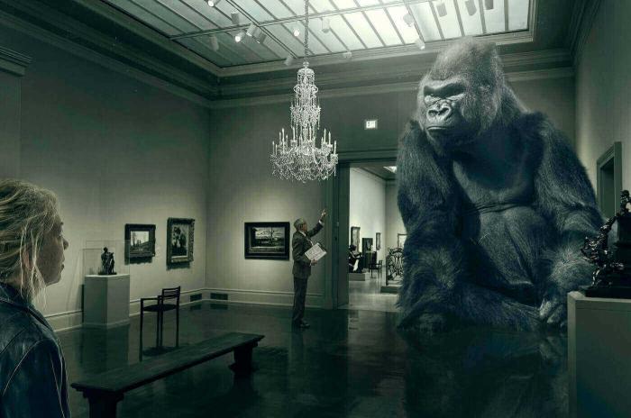 «Животные в Художественном музее»: правда или вымысел?