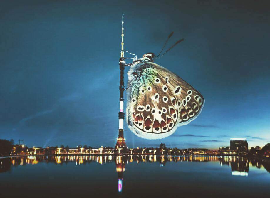 Бабочка на узкой высокой башне