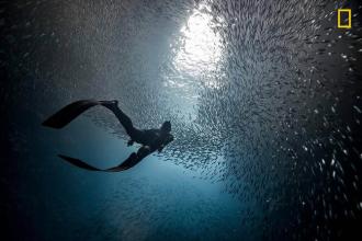 Первые фотографии конкурса National Geographic Travel Photographer of the Year 2017