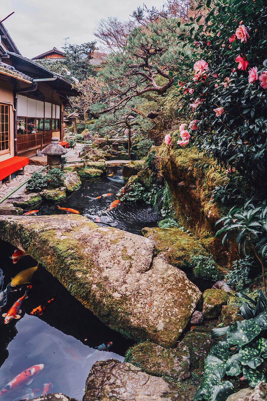 Цветение сакуры в Японии, Киото