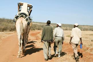 The Camel Fridge Project – солнечная энергия на службе медицины