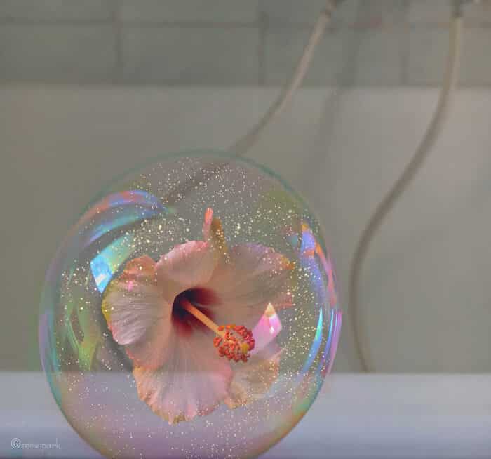 совмещение мыльных пузырей и цветов, фото 11