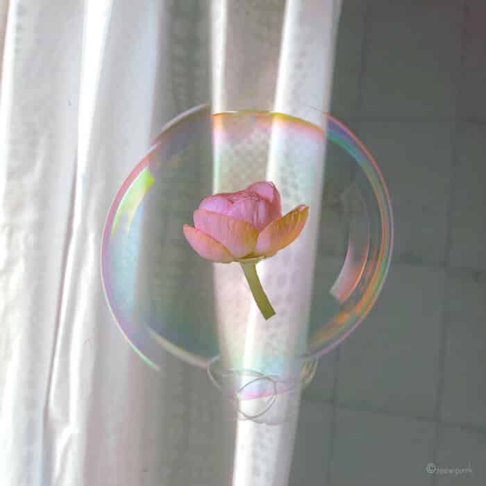 совмещение мыльных пузырей и цветов, фото 12