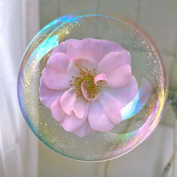 Волшебные фото с пузырями и цветами от корейского фотографа