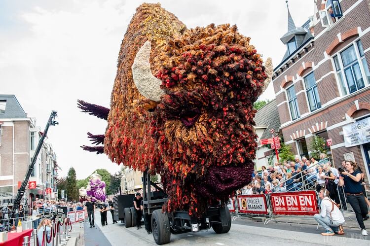 Цветочный парад Корсо Зюндерт, фото 13