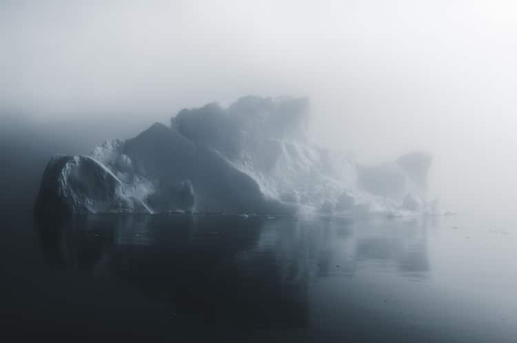 Фотосессия Арктическая тишина, фото 8