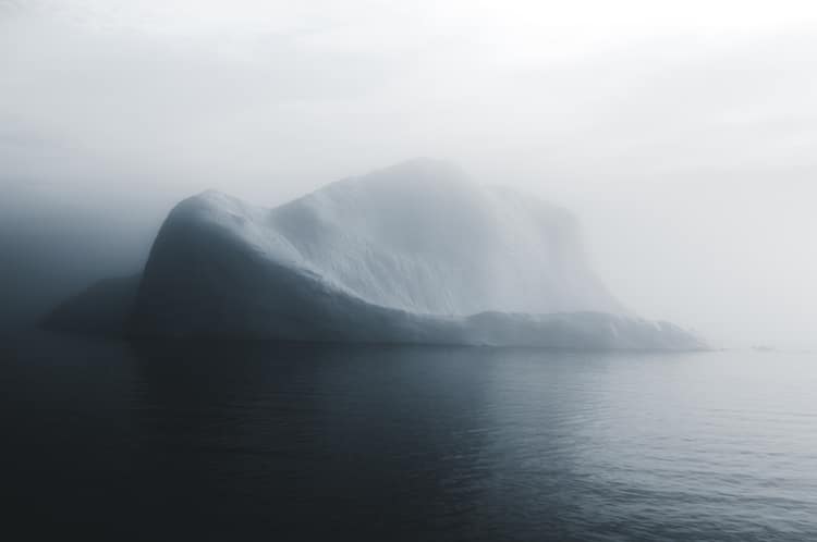 Фотосессия Арктическая тишина, фото 1