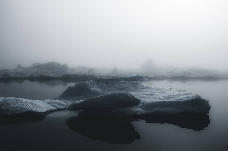 Фотосессия Арктическая тишина, фото 7