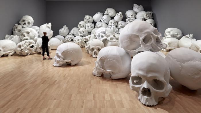 100 гигантских черепов разбросаны в огромных музейных галереях