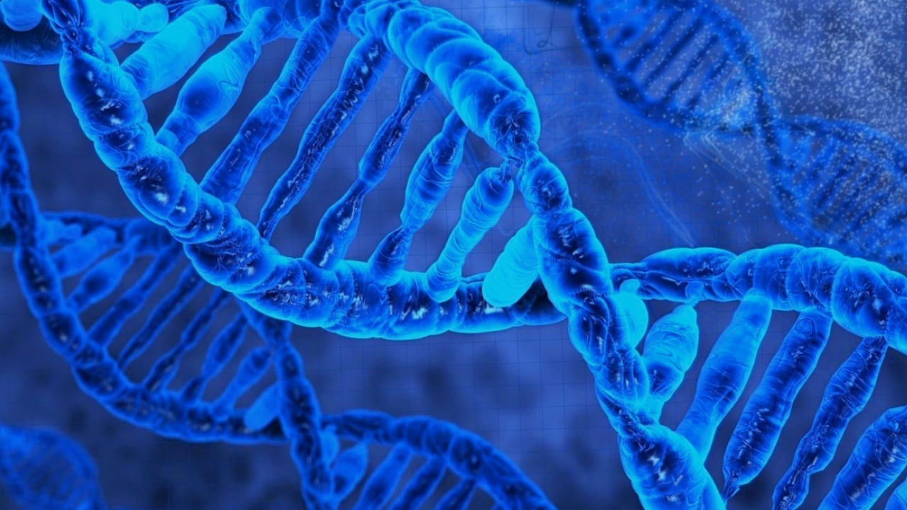 Код доступа: генетики готовы изменить судьбу каждого человека